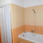 Bodzavirag Vendeghaz *