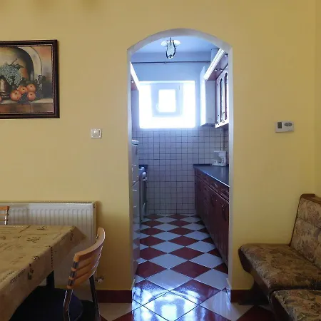 Bodzavirag Vendeghaz