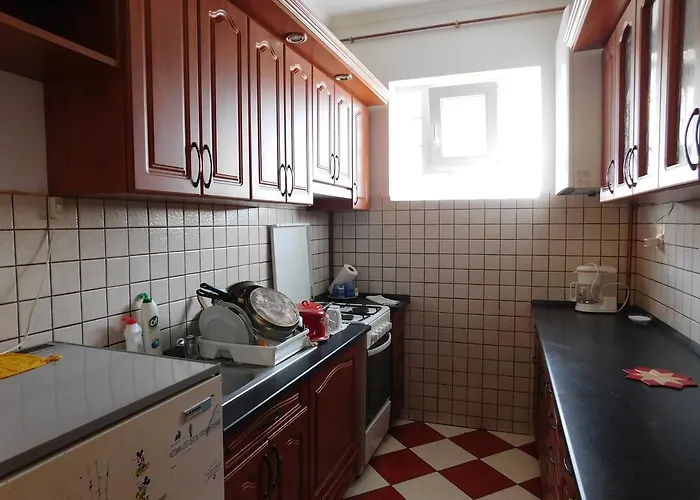 Bodzavirag Vendeghaz