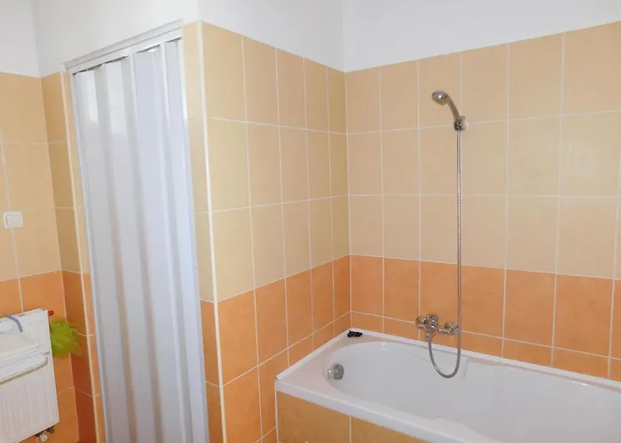 Bodzavirag Vendeghaz *