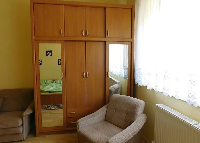 Bodzavirag Vendeghaz Lägenhet Hegykő