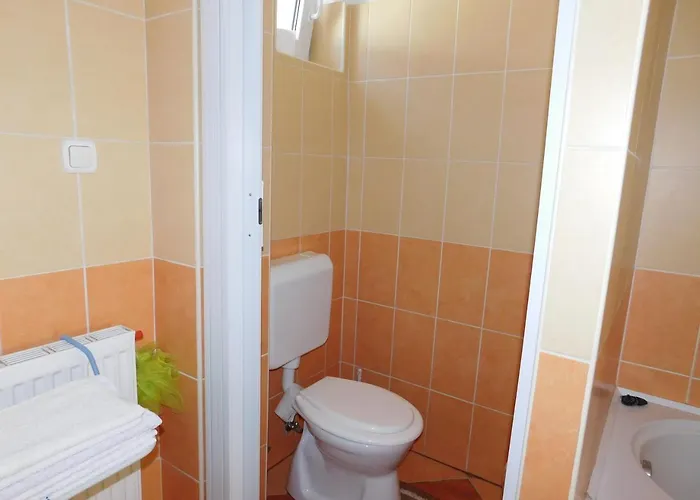 Bodzavirag Vendeghaz Hegykő