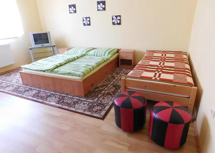 Bodzavirag Vendeghaz * Hegykő