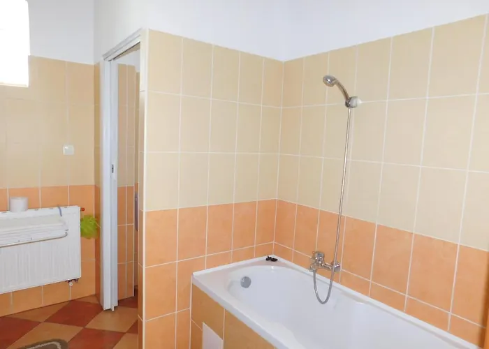 Bodzavirag Vendeghaz Apartament Hegykő