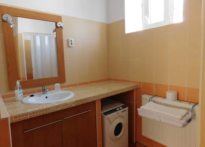 Bodzavirag Vendeghaz *