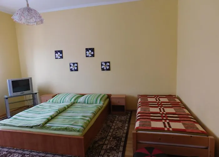 Apartament Bodzavirag Vendeghaz