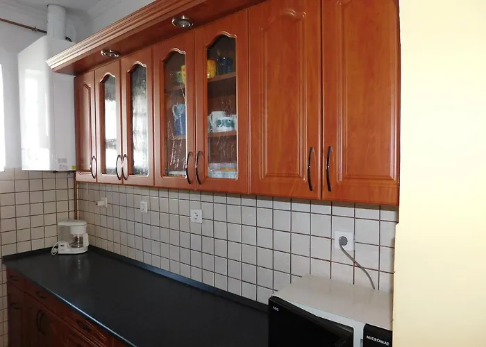 Bodzavirag Vendeghaz Apartament Hegykő