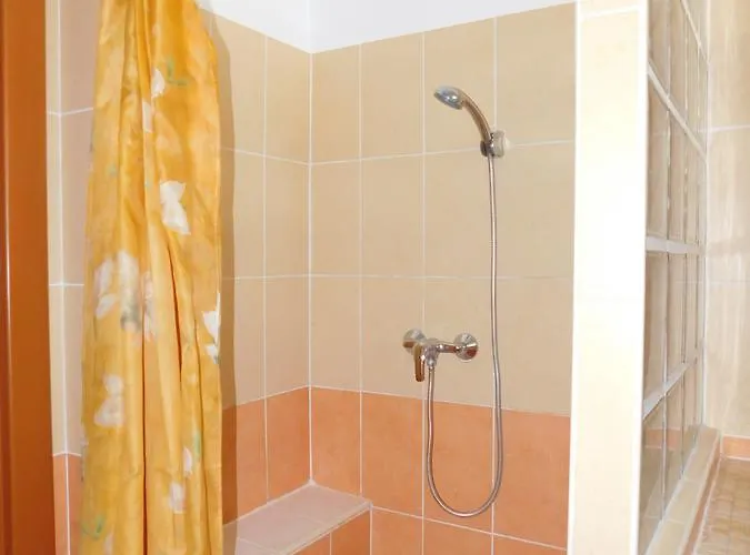 Bodzavirag Vendeghaz