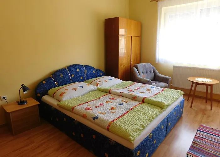 Bodzavirag Vendeghaz * Hegykő